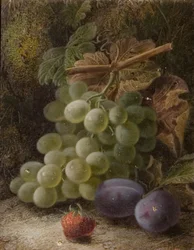 Bunch of Grapes, 1893